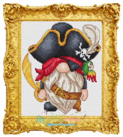 Gnome Pirate