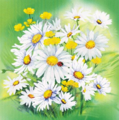 Chamomiles Flowers - Satin Stitch