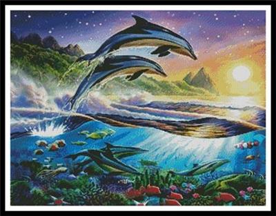 Atlantic Dolphins