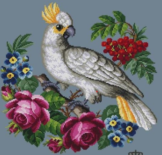 Parrot and Flowers - A