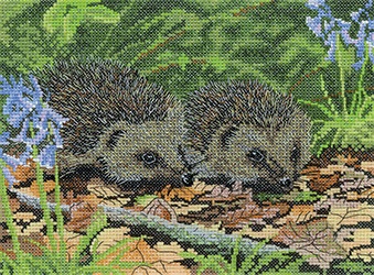 click here to view larger image of Hedgehog in Spring (chart)