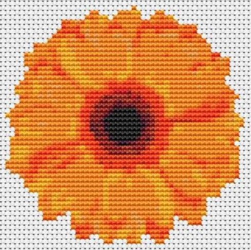 Flower Series - Orange Gerbera
