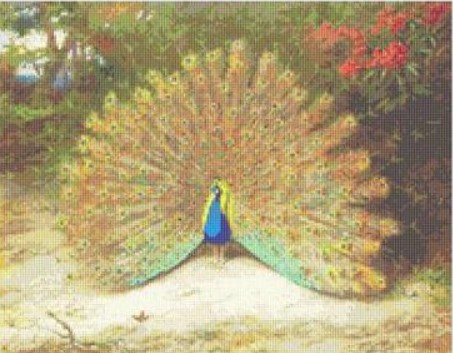 Peacock and Peacock Butterfly (Archibald Thorburn)