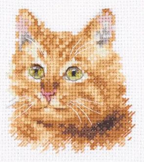 Animal Portraits - Ginger Cat