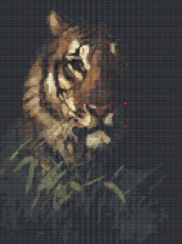 Tigers Head (Abbott Handerson Thayer)