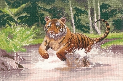 Tiger - Power & Grace (John Clayton)