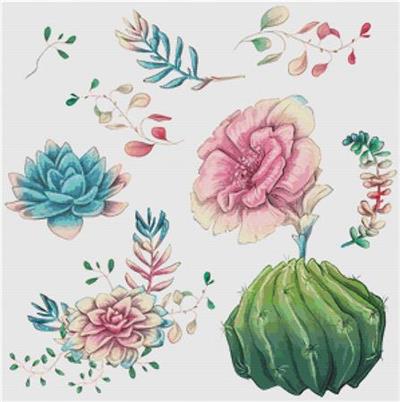 Cacti And Succulents I