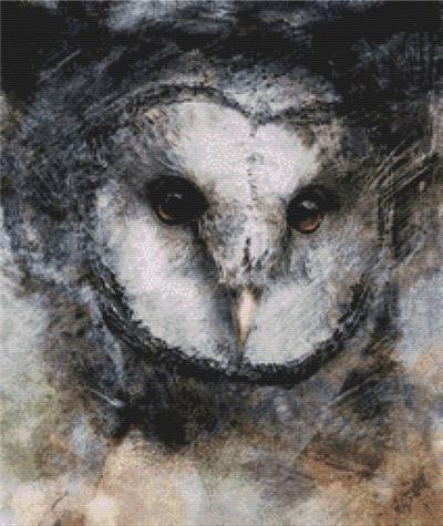 Owl Dreams