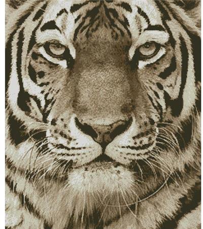 Tiger Portrait (Sepia)