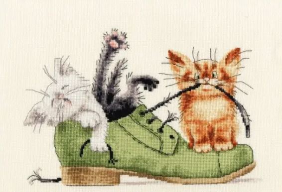 Kittens in a Shoe