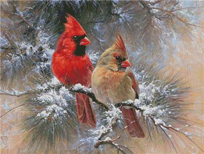 Cardinals in a Christmas Tree
