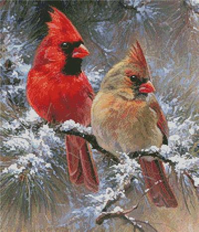 Cardinals in a Christmas Tree (Crop)