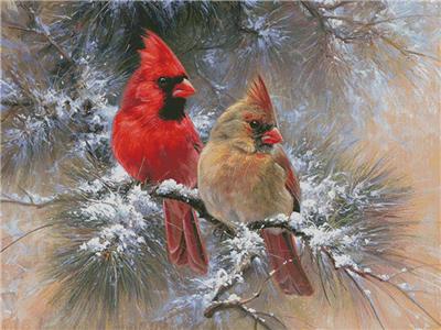 Cardinals in a Christmas Tree (Large)