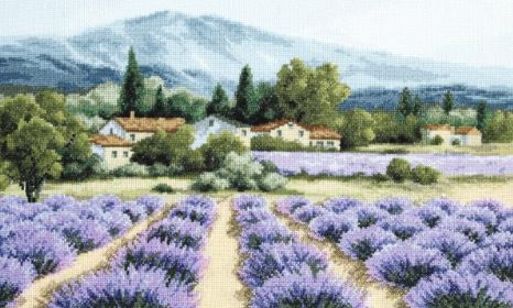 Mountain Lavender