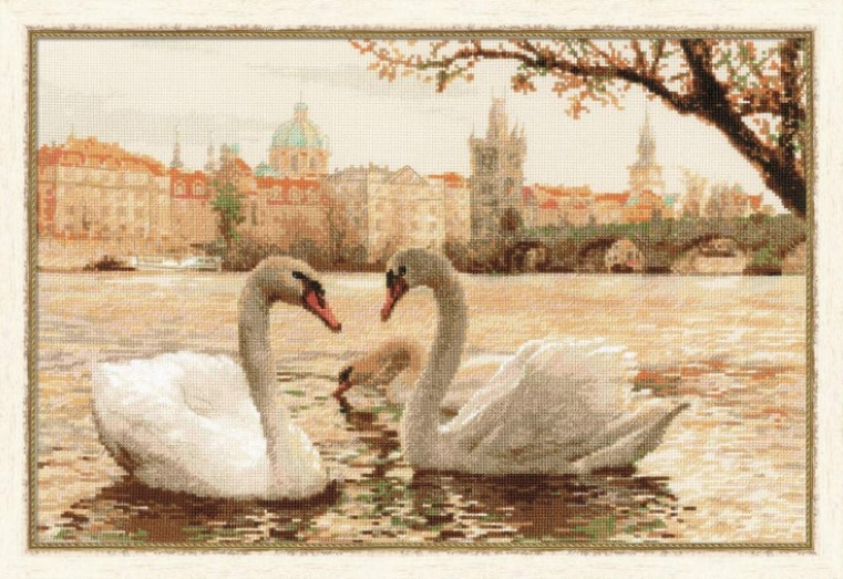 Swans - Prague