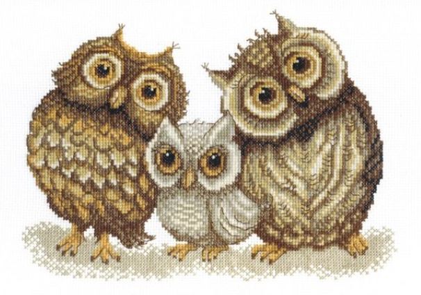 Family of Owls 