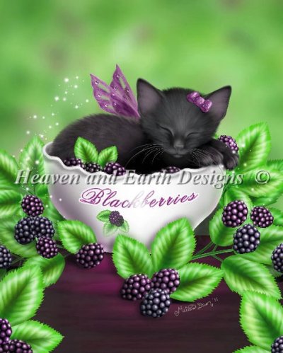 Blackberry Kitten/Mini - Melissa Dawn
