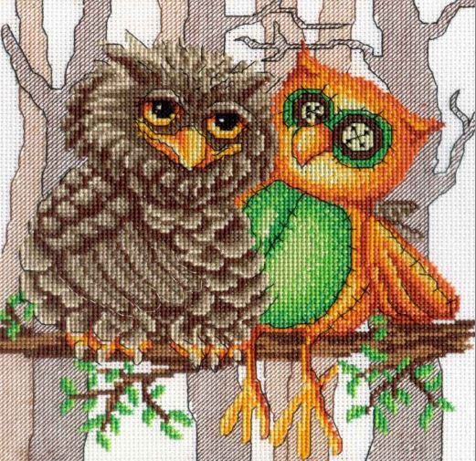 Owls Friend
