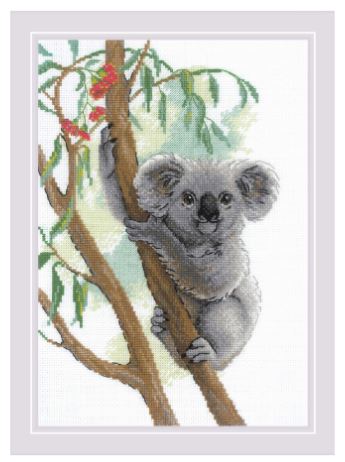 Cute Koala 
