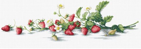 Etude with Strawberries
