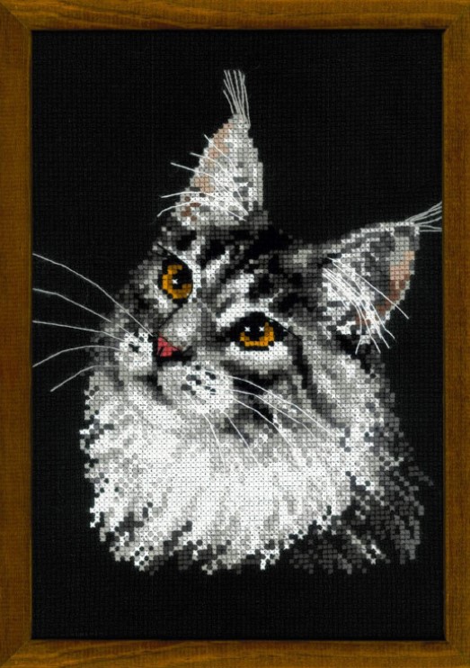click here to view larger image of Maine Coon (counted cross stitch kit)