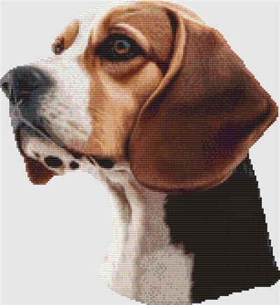 Beagle - Portrait II