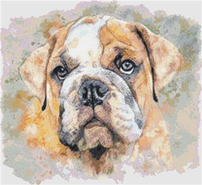 Bulldog - Pastel