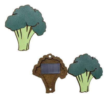 Wooden Needle Case/Broccoli 