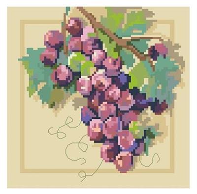 Grapes on Vine  