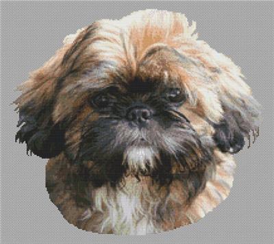 click here to view larger image of Sable Lhasa Apso Puppy (chart)