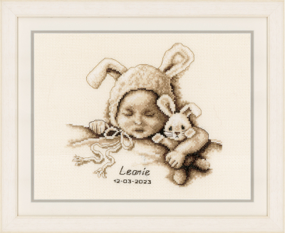 Baby and Cuddly Rabbit Birth Announcement