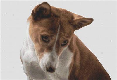 click here to view larger image of Basenji (chart)