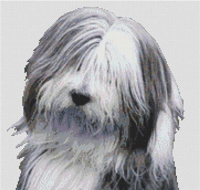 click here to view larger image of Bearded Collie 2 (chart)