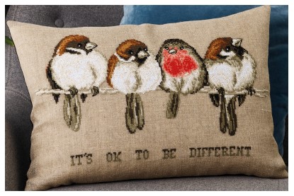 It's OK to be Different Bird Cushion