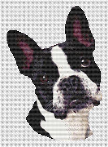 click here to view larger image of Boston Terrier Portrait (chart (special))