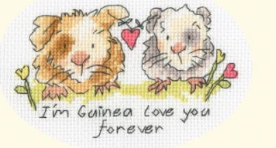 Card - I'm Guinea Love You Forever