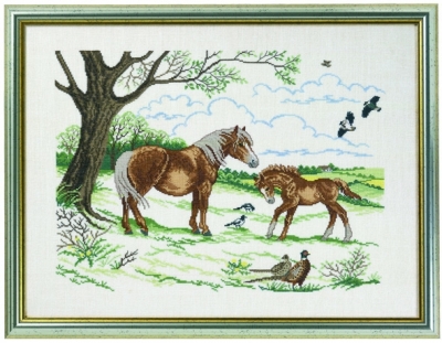 Horses with Foal