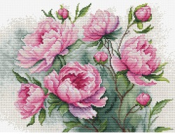 Charm of Peonies, The