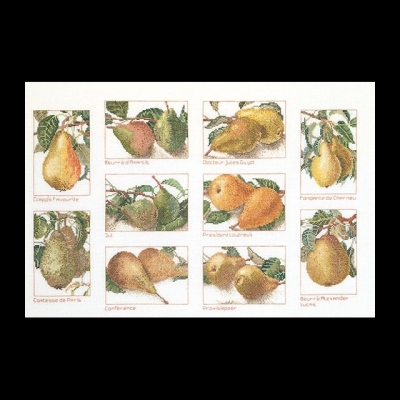 click here to view larger image of Pears (counted cross stitch kit)