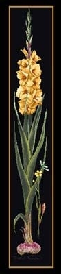 click here to view larger image of Yellow Gladiolas (counted cross stitch kit)