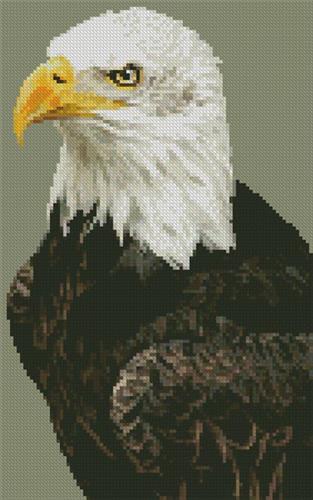 click here to view larger image of Mini Bald Eagle Portrait (chart)