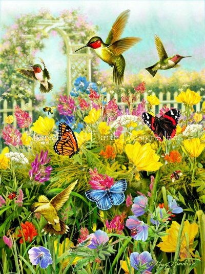 Hummingbirds - Greg Giordano