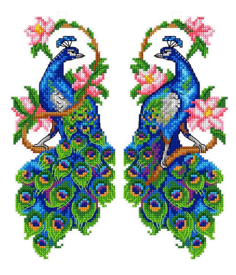 Peacocks  
