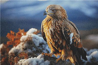 click here to view larger image of Golden Eagle (chart)