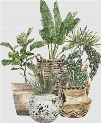 click here to view larger image of Group of Houseplants (chart)