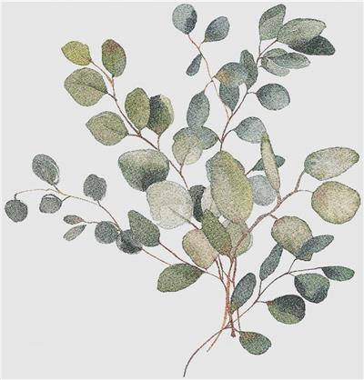 Watercolour Eucalyptus Arrangement III