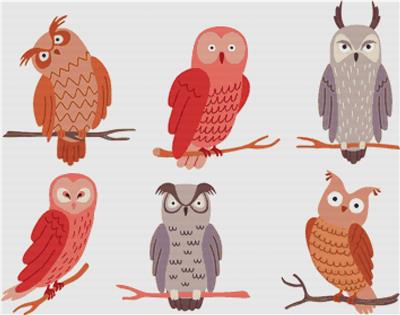 Set of Different Owls