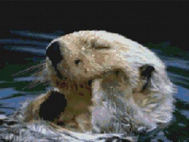 Otter Bathtime