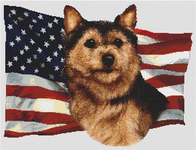 Patriotic Norwich Terrier 