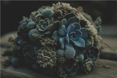 click here to view larger image of Blue Succulent Bouquet (chart)